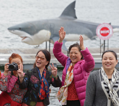 Chinese tourists pose for photographs in front of a 7.4-meter-long great white shark replica in Sydney Harbour in Nov, 2014. (Photo by Greg Wood/for China Daily) Chinese tourists pose for photographs in front of a 7.4-meter-long great white shark replica in Sydney Harbour in Nov, 2014. (Photo by Greg Wood/for China Daily)