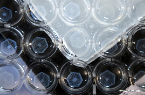 Photo taken on Oct. 9, 2015 shows hepatic lobules printed on the Regenovo 3D bio-print Work Station in Hangzhou, capital of east China's Zhejiang Province. A Chinese team announced Friday that it has used a specialized 3D printer to produce tiny sections of the liver that could eventually be used to form a full artificial version of the organ. (Photo: Xinhua/Han Chuanhao) Photo taken on Oct. 9, 2015 shows hepatic lobules printed on the Regenovo 3D bio-print Work Station in Hangzhou, capital of east China's Zhejiang Province. A Chinese team announced Friday that it has used a specialized 3D printer to produce tiny sections of the liver that could eventually be used to form a full artificial version of the organ. (Photo: Xinhua/Han Chuanhao)