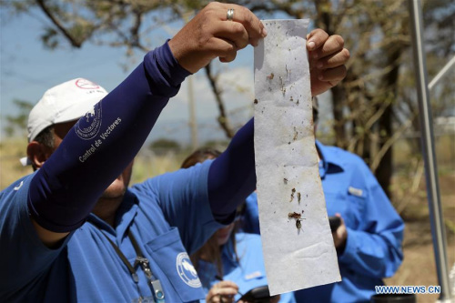 Employees of Costa Rica's Ministry of Health inspect a trap to combat the Aedes aegypti mosquito, carrier of Zika virus, during a day of fumigation to combat the Aedes aegypti mosquito, carrier of Zika virus, in the city of Santa Ana, San Jose Province, Costa Rica, on Feb. 23, 2016. (Photo: Xinhua/Kent Gilbert) Employees of Costa Rica's Ministry of Health inspect a trap to combat the Aedes aegypti mosquito, carrier of Zika virus, during a day of fumigation to combat the Aedes aegypti mosquito, carrier of Zika virus, in the city of Santa Ana, San Jose Province, Costa Rica, on Feb. 23, 2016. (Photo: Xinhua/Kent Gilbert)