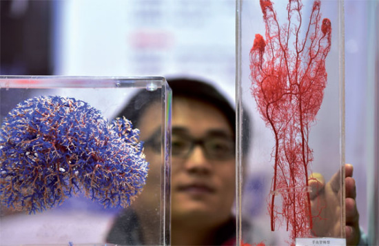 A staff displays 3D print soft tissues produced by a German high-tech company during the 2015 China Yiwu International Manufacturing Equipment Expo on Nov 30. (Photo/Xinhua) A staff displays 3D print soft tissues produced by a German high-tech company during the 2015 China Yiwu International Manufacturing Equipment Expo on Nov 30. (Photo/Xinhua)