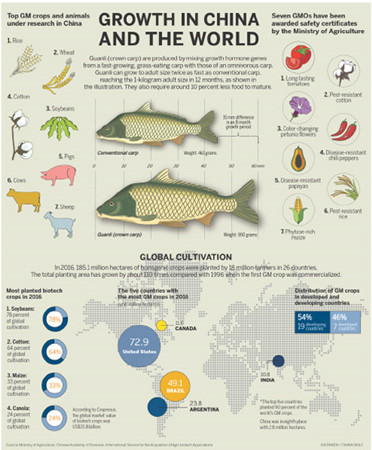 (Infographic by XIA DIWEN/CHINA DAILY)