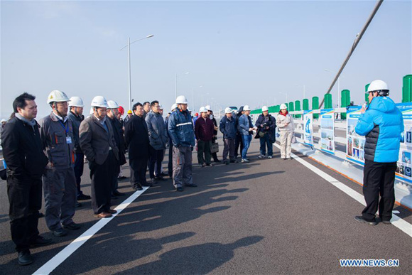 Representatives inspect the site of the sea bridge which links Hong Kong, Zhuhai and Macao in south China, Feb. 6, 2018. (Photo/Xinhua) Representatives inspect the site of the sea bridge which links Hong Kong, Zhuhai and Macao in south China, Feb. 6, 2018. (Photo/Xinhua)