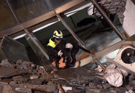 Rescuers work at the damaged Yun Men Tusi Ti building in Hualien, southeast China's Taiwan, Feb. 9, 2018. (Xinhua/Yue Yuewei) Rescuers work at the damaged Yun Men Tusi Ti building in Hualien, southeast China's Taiwan, Feb. 9, 2018. (Xinhua/Yue Yuewei)
