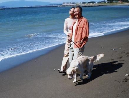 North and south, Chinese seniors migrate for happiness