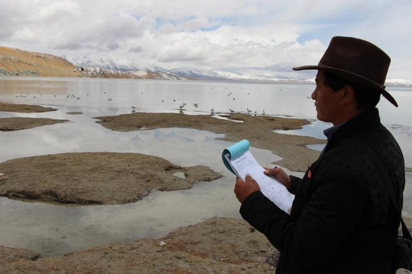 Pema Wanggyal notes down his observation during a patrol trip around the Lake Manasarova on May 10, 2018. (Photo by Ma Chi/chinadaily.com.cn) Pema Wanggyal notes down his observation during a patrol trip around the Lake Manasarova on May 10, 2018. (Photo by Ma Chi/chinadaily.com.cn)