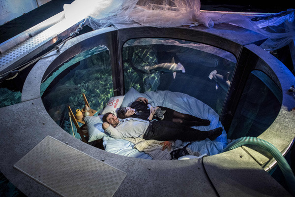 A couple who won a competition on the Airbnb accommodation site lie in an underwater bedroom surrounded by a shark tank at the Aquarium de Paris in France. (Photo by Philippe Lopez/For China Daily) A couple who won a competition on the Airbnb accommodation site lie in an underwater bedroom surrounded by a shark tank at the Aquarium de Paris in France. (Photo by Philippe Lopez/For China Daily)