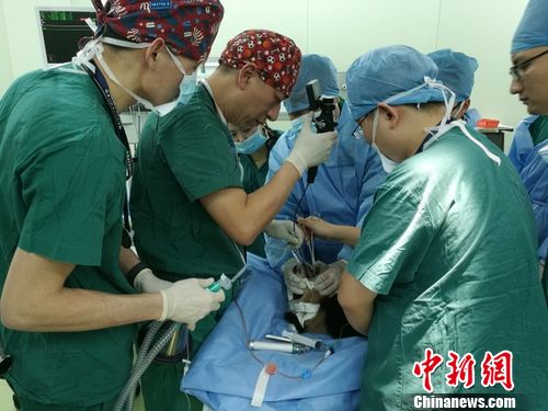 Experts try to save panda Guo Guo. (Photo/Chinanews.com) Experts try to save panda Guo Guo. (Photo/Chinanews.com)