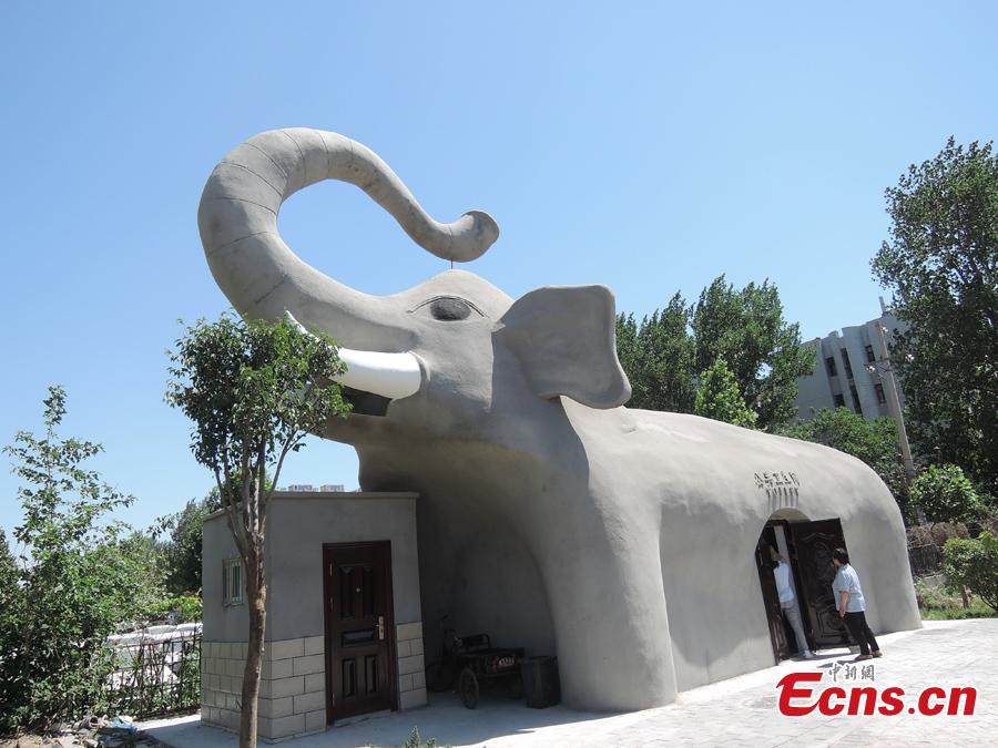 Elephant helps answer the call of nature(1/2)