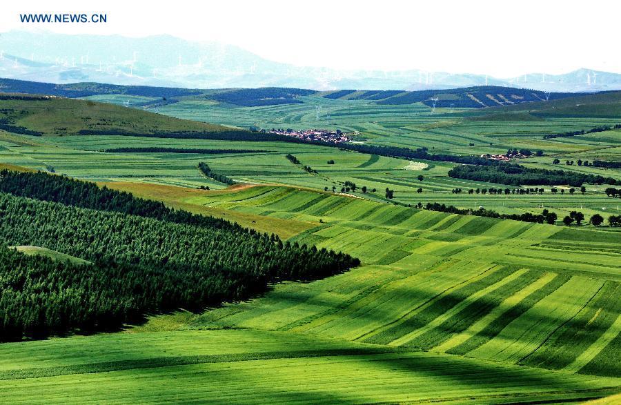 Scenery of fields in Hebei's Zhangjiakou(1/4)