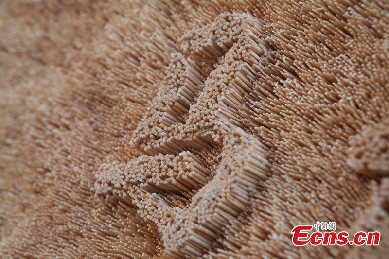 Man uses toothpicks to make 3D portrait(1/3)