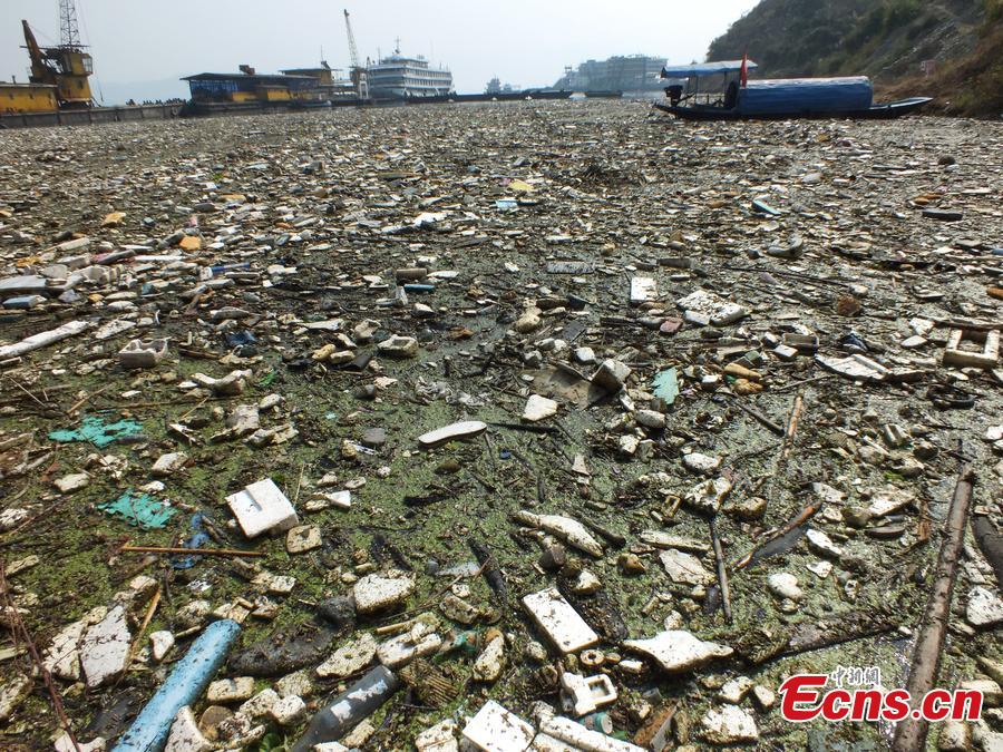 Yangtze River plagued by floating garbage(1/3)