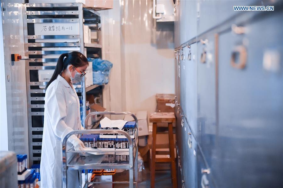 A staff member places the blood sample at the China National GeneBank (CNGB) in Shenzhen, south China\'s Guangdong Province, Sept. 20, 2016. The CNGB was officially opened Thursday, aiming to promote human health research and the conservation of global bio-diversity. (Xinhua/Mao Siqian)