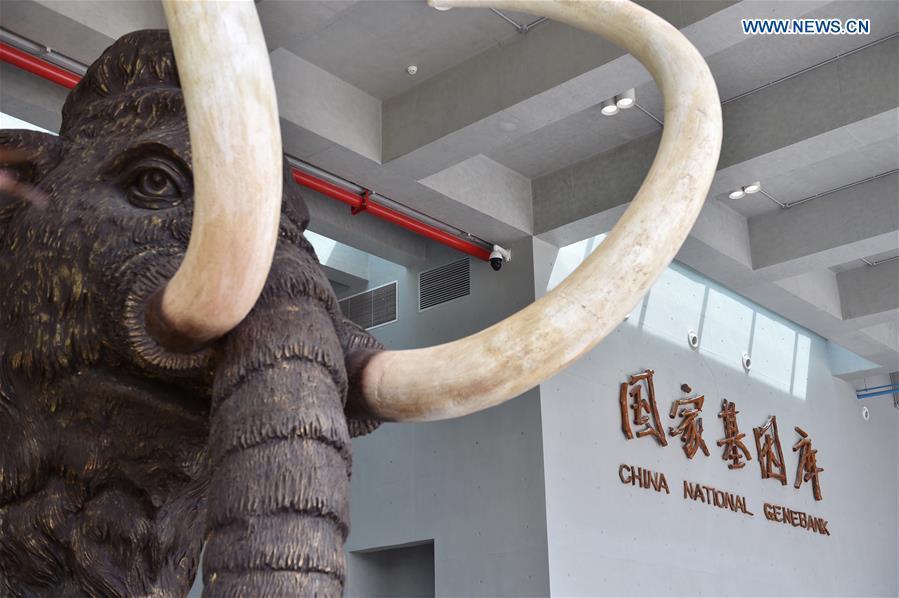 Photo taken on Sept. 22, 2016 shows the inside of China National GeneBank (CNGB) in Shenzhen, south China\'s Guangdong Province. The CNGB was officially opened Thursday, aiming to promote human health research and the conservation of global bio-diversity. (Photo/Xinhua)