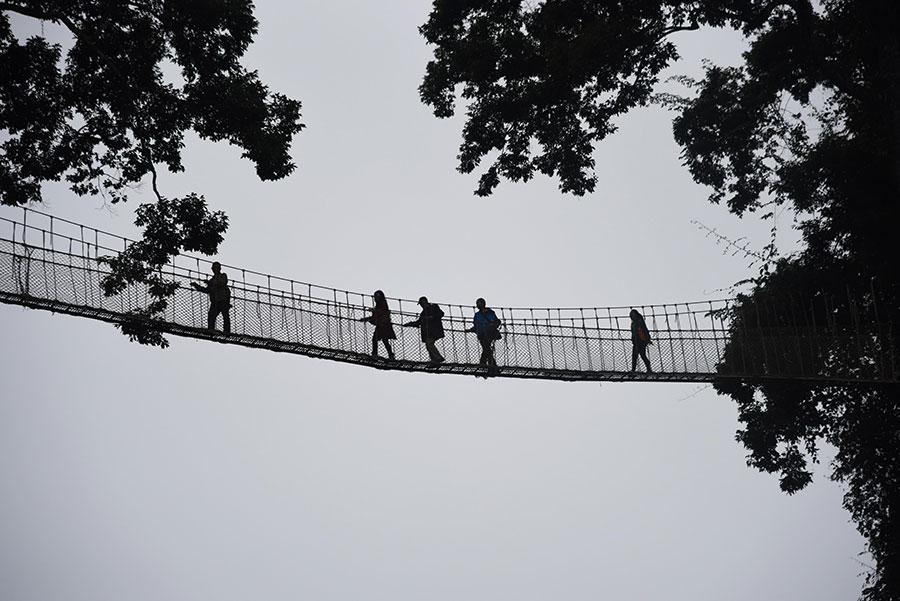 The world's highest treetop corridor in Yunnan offers thrilling adventure(2/4)