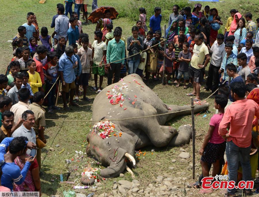 Villagers mourn elephant that died after being hit by train (1/3)