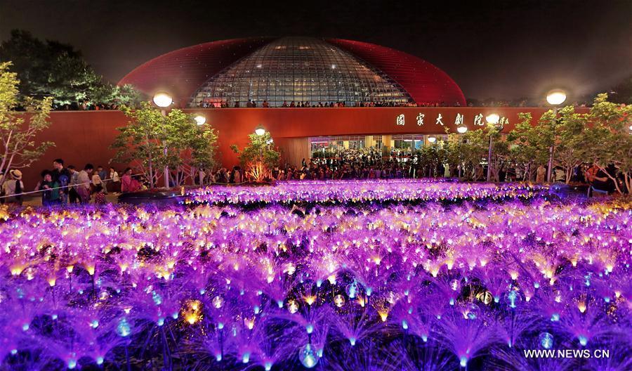 10,860 lights illuminated in Beijing to greet Belt and Road Forum(7/7)