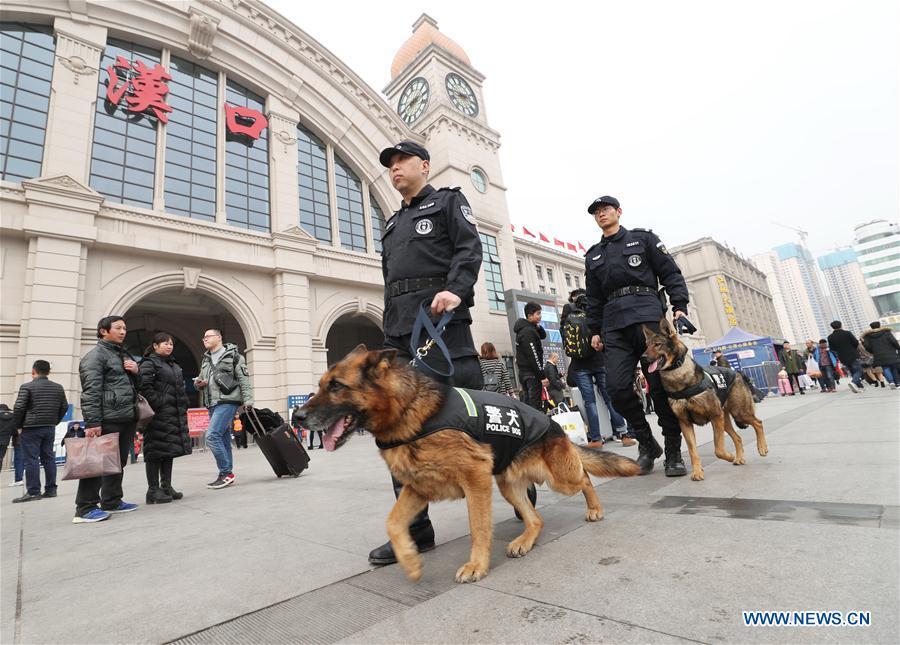 Police dogs patrol railway station during Spring Festival travel rush(1/3)