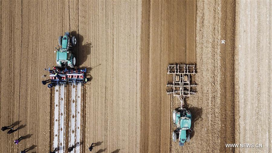 Self-driving tractors do farm work in Xinjiang(1/6)