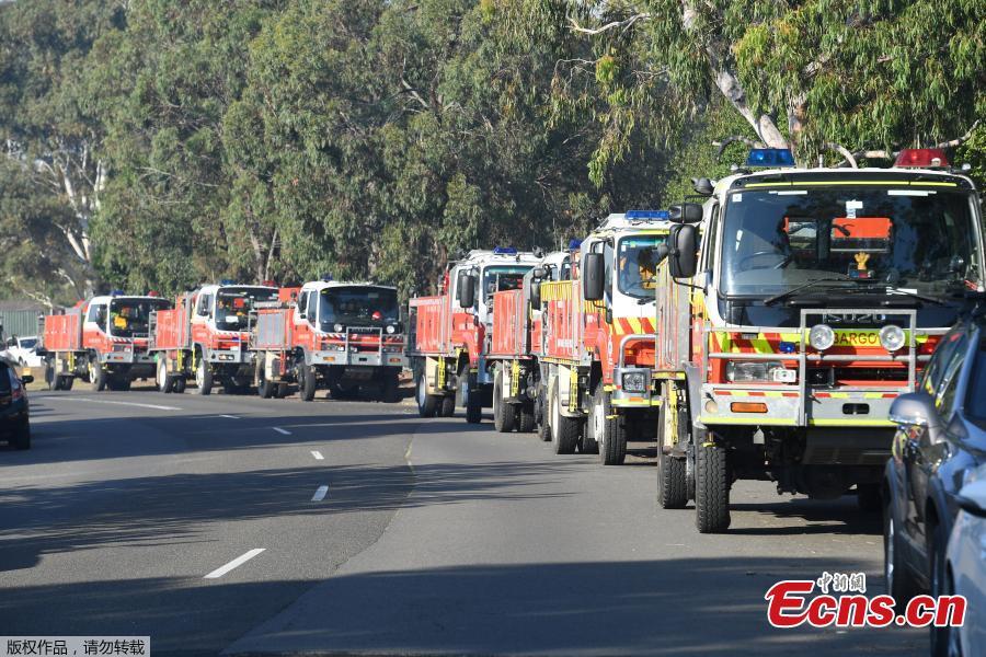 A severe bushfire has burnt all weekend in Sydney\'s south-west and although conditions eased last night, firefighters are still concerned conditions may deteriorate, according to Australian media report. (Photo/Agencies)