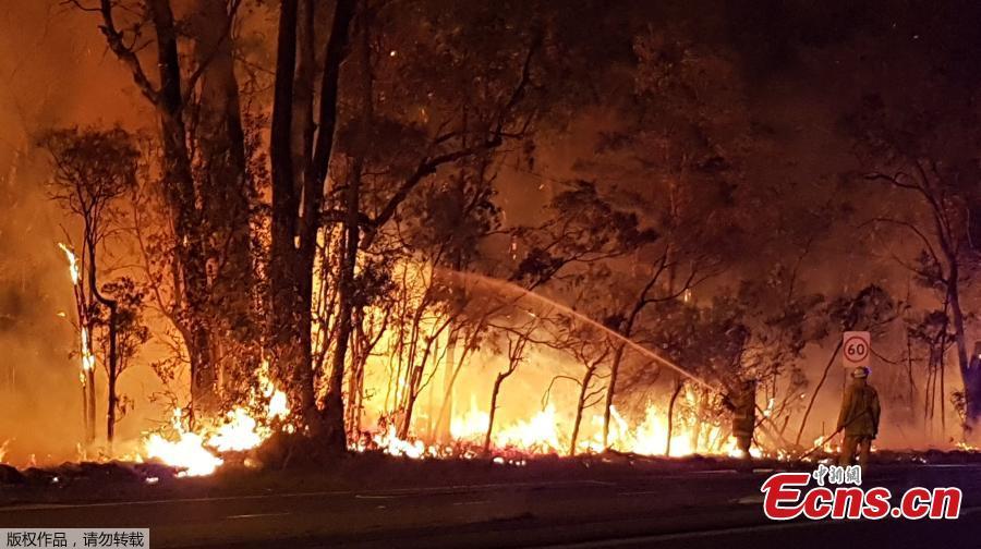A severe bushfire has burnt all weekend in Sydney\'s south-west and although conditions eased last night, firefighters are still concerned conditions may deteriorate, according to Australian media report. (Photo/Agencies)
