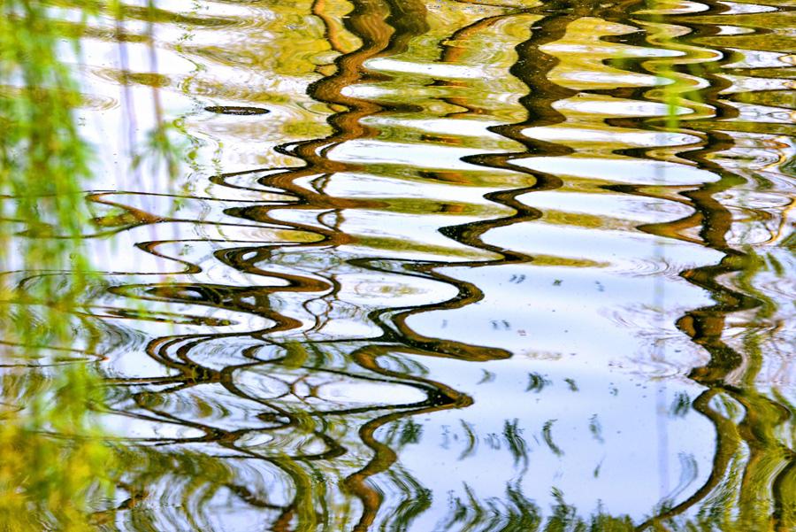 Spring pours colors into Daming Lake(1/8)
