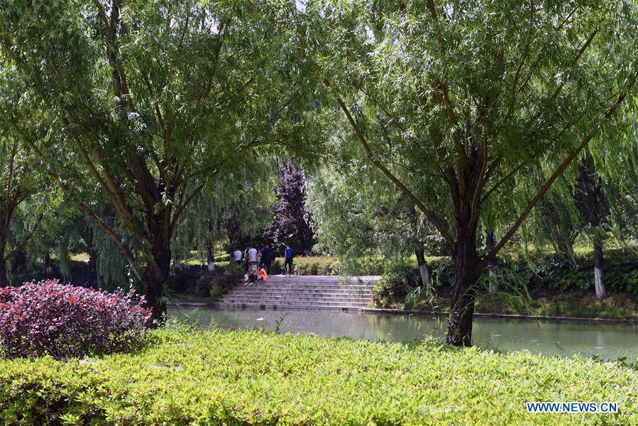 Photo taken on May 21, 2018 shows the green plants on the bank of the Xiaoxiang River in Qujing, southwest China\'s Yunnan Province. Measures have been taken to protect the water of the Xiaoxiang River in recent years. (Xinhua/Yang Zongyou)