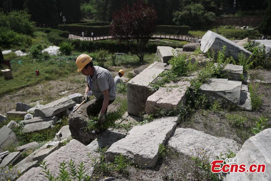 Photo taken on May 23, 2018 shows workers pulling up weeds as authorities of the Old Summer Palace (Yuanmingyuan) start a preservation project on the Yuanyingguan and Dashuifa ruins. The work will continue for 120 days to protect these two sites from collapse. Constructed throughout the 18th and early 19th centuries, the Old Summer Palace was a complex of royal palaces and gardens. The complex suffered extensive looting and destruction at the hands of French and British troops during the Second Opium War in 1860. (Photo: China News Service/Cui Nan)