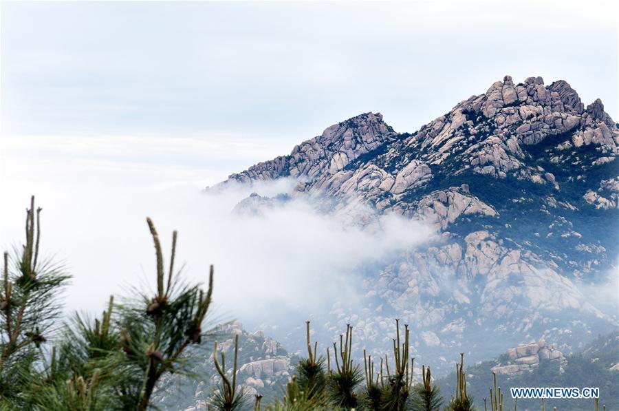 Aerial photo taken on May 21, 2018 shows the Laoshan Mountain in Qingdao, east China\'s Shandong Province. (Xinhua/Li Ziheng)