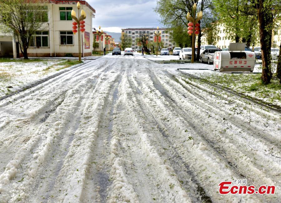 Photo take on May 24, 2018 shows hailstones hitting Hongyuan County, Southwest China’s Sichuan Province. The hail storm continued for 13 minutes, with the largest hailstone measuring 1.5 centimeters. There\'s been no reports of injuries or deaths. (Photo: China News Service/Tang Mingbo)