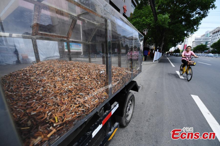 Cigarette butts collected by sanitary workers in downtown Lanzhou City, Gansu Province are being displayed in an activity to raise public awareness of environmental protection, May 24, 2018. (Photo: China News Service/Yang Yanmin)