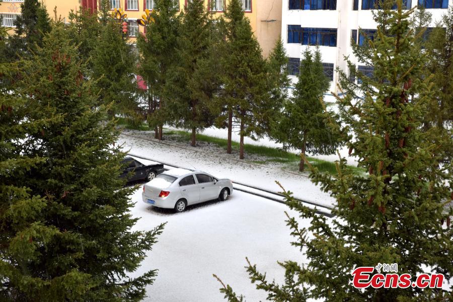 Photo take on May 24, 2018 shows hailstones hitting Hongyuan County, Southwest China’s Sichuan Province. The hail storm continued for 13 minutes, with the largest hailstone measuring 1.5 centimeters. There\'s been no reports of injuries or deaths. (Photo: China News Service/Tang Mingbo)