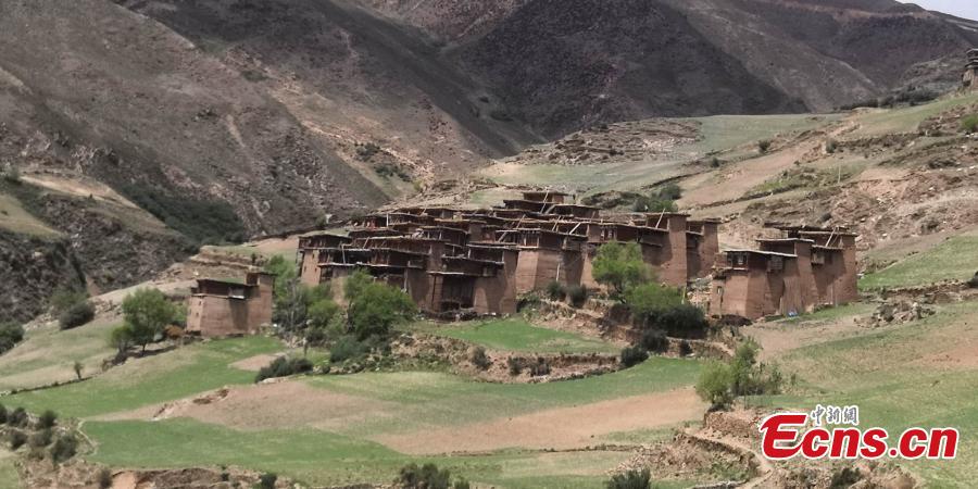 A view of watchtower-like residential buildings in Gonjo County, Chamdo Prefecture in Southwest China’s Tibet Autonomous Region. Locals in the county’s Sanyan area live in the buildings that are three to five floors high and made of mud on the outside, with each structure home to at least two families. (Photo: China News Service/Ji Xiang)