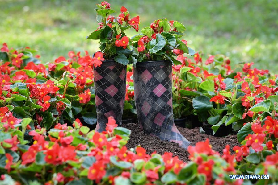 Photo taken on May 28, 2018 shows flowers on display at the 53rd Floraart International Garden Exhibition in Zagreb, capital of Croatia. The exhibition lasts from May 28 to June 3. (Xinhua/ Sandra Simunovic)