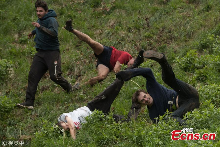 In a centuries-old tradition unlike any other, daring racers and spectators alike flock to Cooper\'s Hill in Brockworth, England, to witness the village\'s annual cheese rolling race.The event entails racers chasing a rolled wheel of Double Gloucester cheese down a steep hill. The run is extremely dangerous, with many racers tumbling all the way down the 200-yard slope. The day features several races for men, women and children. (Photo/VCG)