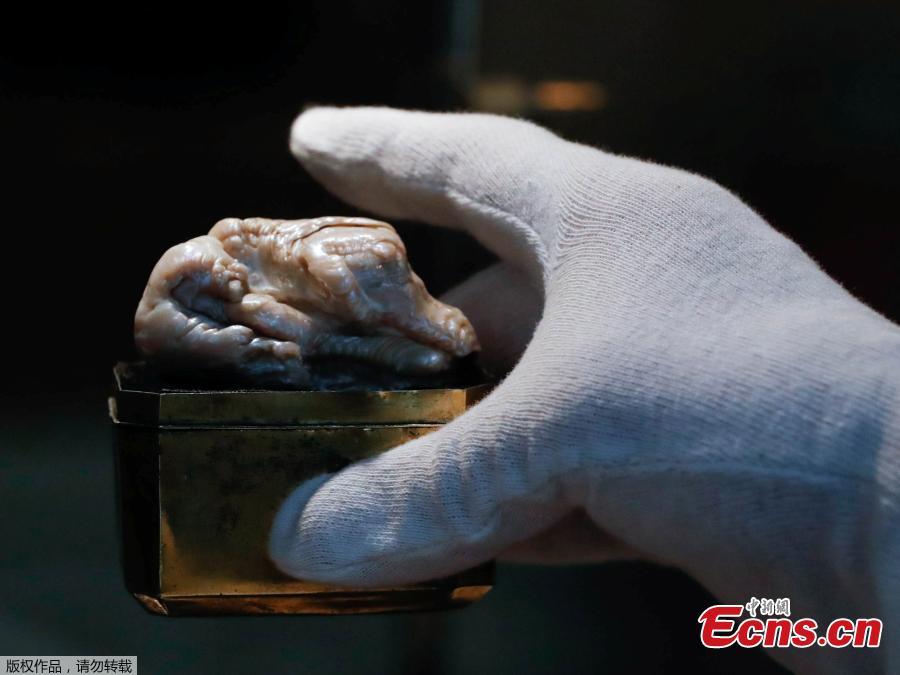 The Sleeping Lion Pearl, which once belonged to Catherine the Great and believed to be the world\'s largest freshwater pearl, is displayed before being auctioned in the Hague, Netherlands May 28, 2018. (Photo/Agencies)
The world\'s largest known freshwater pearl, which once belonged to Catherine the Great, was sold on Thursday in the Netherlands for US$374,000, auction house Venduehuis said.