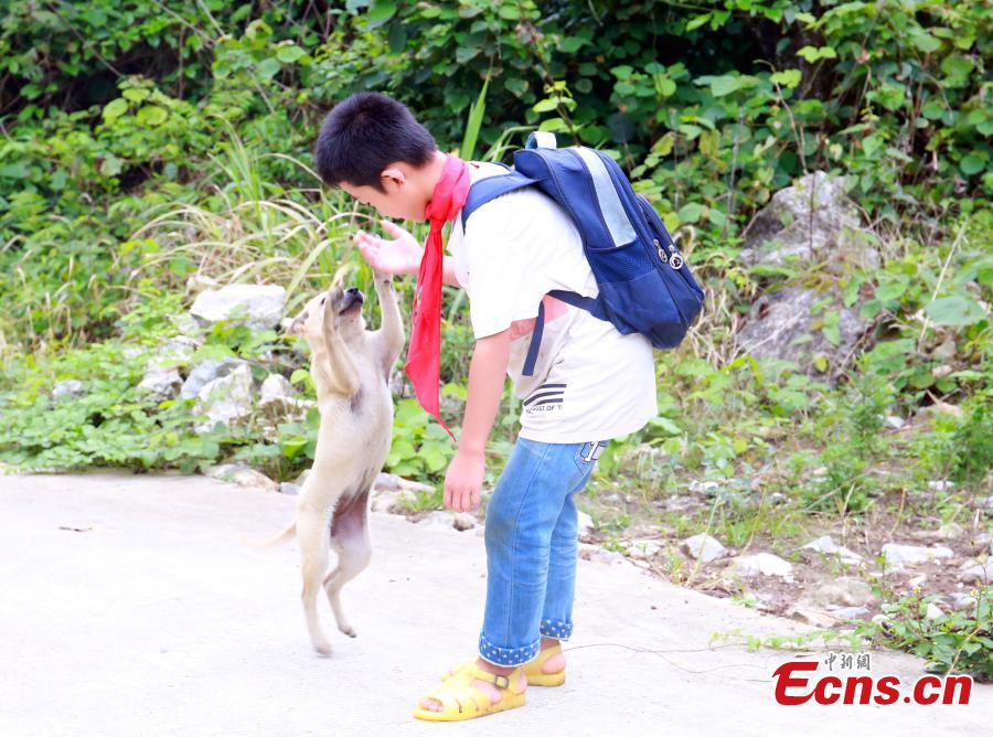 Li Jianwen, 10, is on his way to Dayadong Primary School in Liucheng County, South China’s Guangxi Zhuang Autonomous Region, May 31, 2018. It takes Li about one and a half hours to climb the mountain to his school, a three-hour return commute each day. (Photo: China News Service/Zhu Liurong)