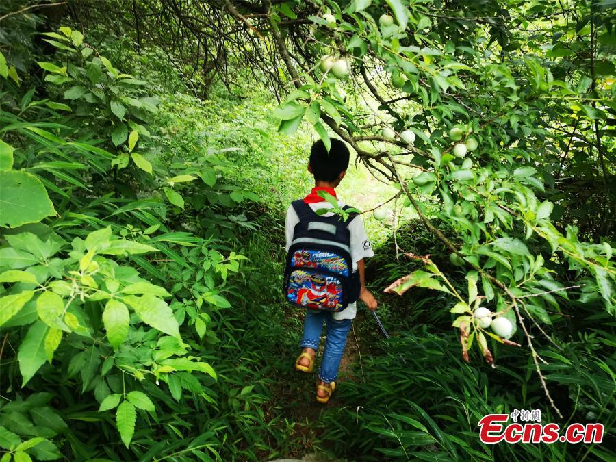 Li Jianwen, 10, is on his way to Dayadong Primary School in Liucheng County, South China’s Guangxi Zhuang Autonomous Region, May 31, 2018. It takes Li about one and a half hours to climb the mountain to his school, a three-hour return commute each day. (Photo: China News Service/Zhu Liurong)