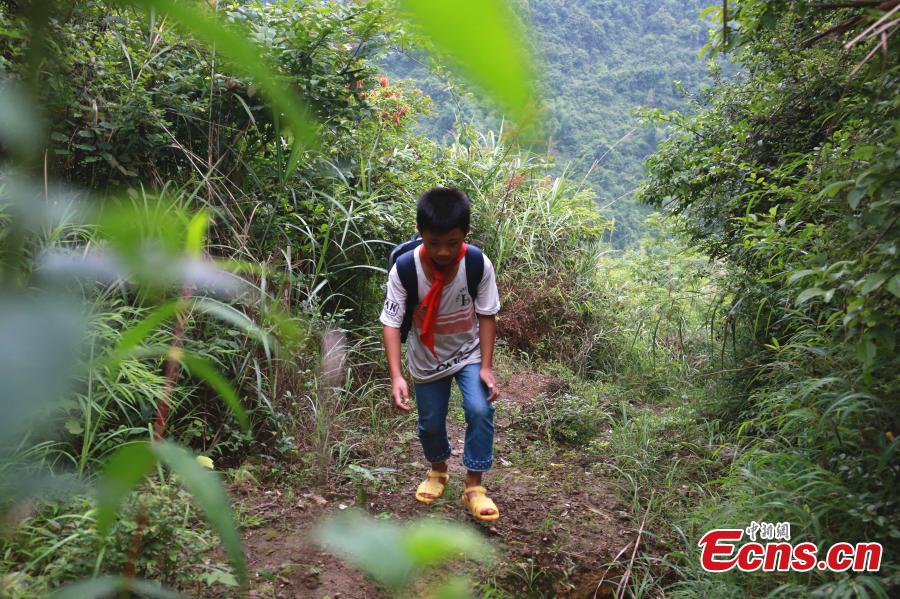 Li Jianwen, 10, is on his way to Dayadong Primary School in Liucheng County, South China’s Guangxi Zhuang Autonomous Region, May 31, 2018. It takes Li about one and a half hours to climb the mountain to his school, a three-hour return commute each day. (Photo: China News Service/Zhu Liurong)