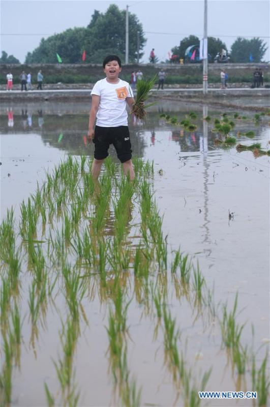 A boy participates in a rice transplanting game in Hongqi Village of Hangzhou, east China\'s Zhejiang Province, June 2, 2018. The game was organized to evoke people\'s memory of traditional farming customs and promote local tourism. (Xinhua/Xu Yu)