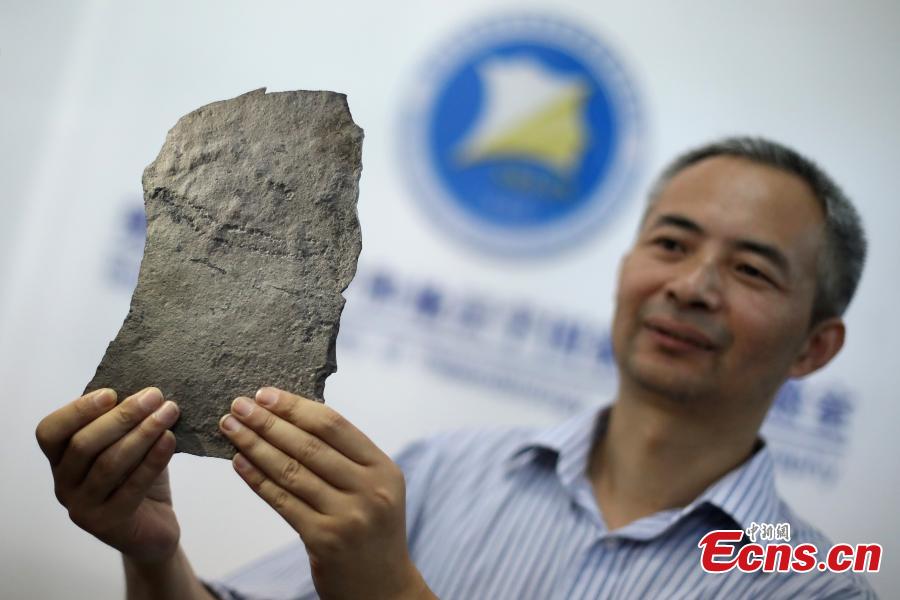 Chen Zhe, a researcher with the Nanjing Institute of Geology and Paleontology at the Chinese Academy of Sciences, shows the earliest known footprints left by an animal on earth, which date back at least 541 million years, in Nanjing, Jiangsu Province, June 7, 2018. Researchers from the institute and Virginia Tech University in the United States found the tracks in the Three Gorges area and published their report in the US journal Science Advances. (Photo: China News Service/Yang Bo)