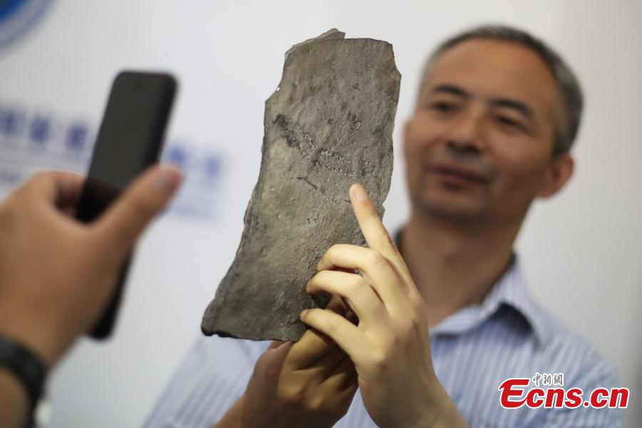 Chen Zhe, a researcher with the Nanjing Institute of Geology and Paleontology at the Chinese Academy of Sciences, shows the earliest known footprints left by an animal on earth, which date back at least 541 million years, in Nanjing, Jiangsu Province, June 7, 2018. Researchers from the institute and Virginia Tech University in the United States found the tracks in the Three Gorges area and published their report in the US journal Science Advances. (Photo: China News Service/Yang Bo)