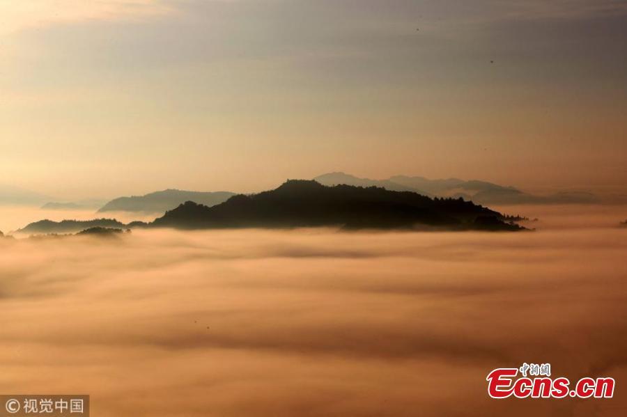 A sea of clouds after rain as the sun rises in the Qiyun Mountains in Huangshan City, East China’s Anhui Province, June 7, 2018. (Photo/VCG)
