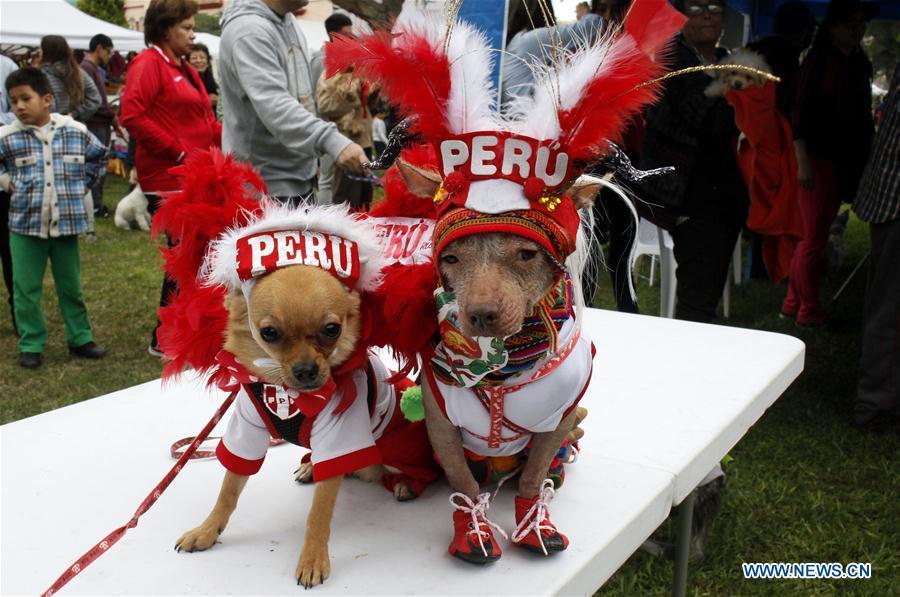 A woman interacts with her dog during a contest with the theme of FIFA World Cup in Lima, Peru, on June 10, 2018. (Xinhua/Luis Camacho)