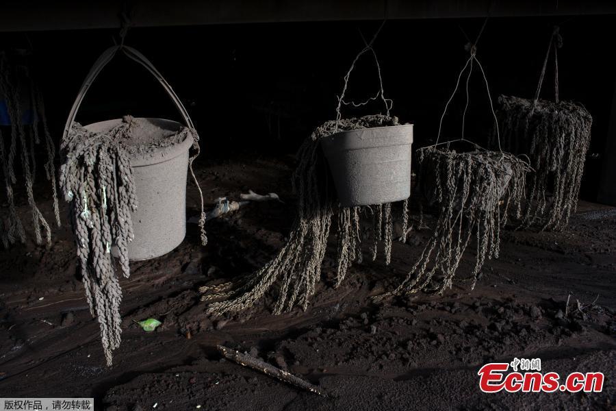 A view of a house affected by the eruption of the Fuego volcano at San Miguel Los Lotes in Escuintla, Guatemala. Everything in the previously lush, bright green landscape is coated in thick layers of sepia-colored volcanic ash, giving the place the eerie feeling of a ghost ship. (Photo/Agencies)
