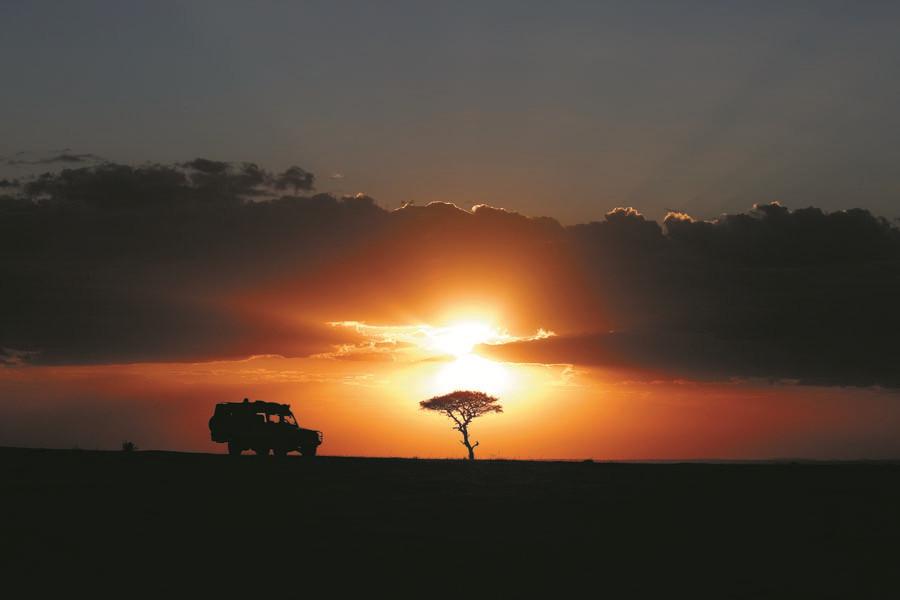 A tourist car stops for a sunset view in the Masai Mara National Reserve at the end of a day\'s game drive. More than 53,000 Chinese tourists visited Kenya in 2017. (PHOTO BY XIE SONGXIN/CHINA DAILY)
Day 6
Breakfast is usually followed by a full-day game drive in the park. There is always something new to see in Masai Mara, said Zhang Tong, CEO of the Beijing-based Zhongfa Group that manages AA Lodges in Kenya.
\