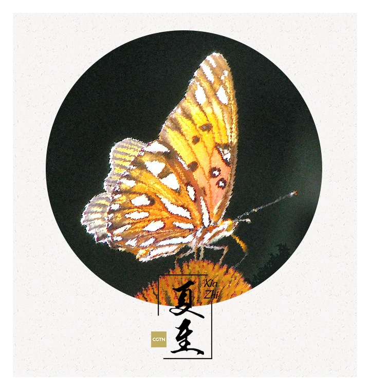 Fans have later become an indispensable part of Chinese culture, with scholars and artists painting and writing on them. Fans were considered by many as not only a tool, but also an artistic work, which has great collection value.
Nowadays, there is even a museum of Chinese fans in Hangzhou city of east China’s Zhejiang Province.