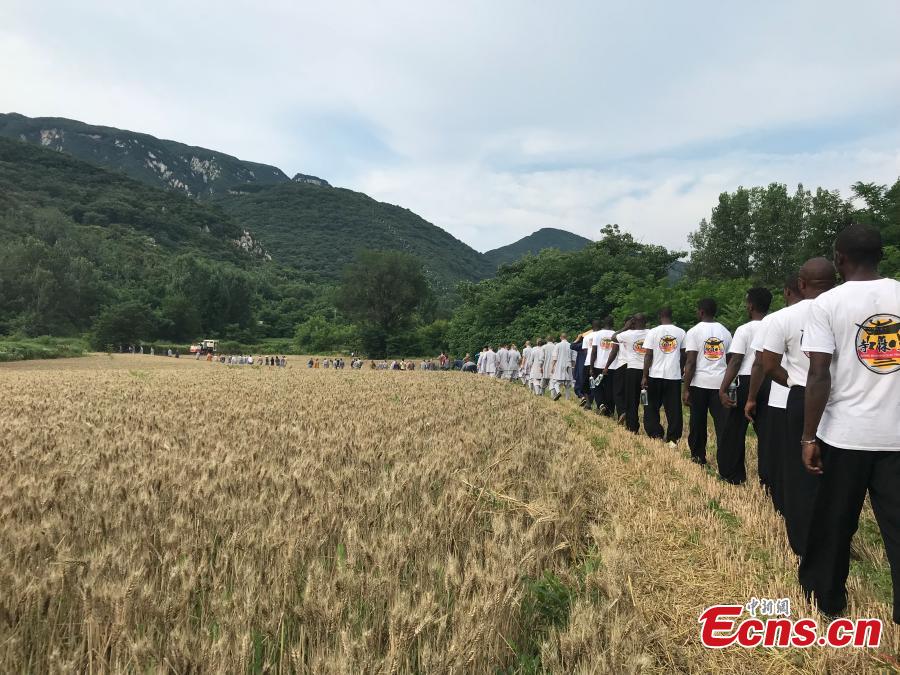 Monks from the Shaolin Temple harvest wheat at a farm in Dengfeng, Henan Province, June 21, 2018. A total of 120 mu, equivalent to eight hectares, of farmland was planted with wheat this year. (Photo: China News Service/Han Zhangyun)