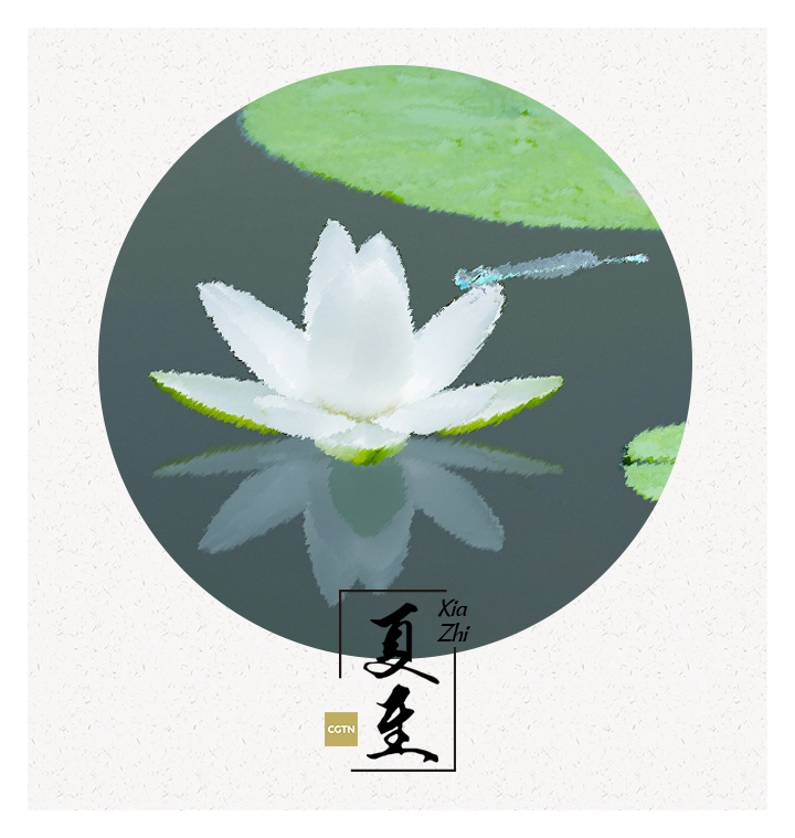 Xiazhi begins when the sun reaches the celestial longitude of 90 degrees, which is also when the Northern Hemisphere sees the longest day and the shortest night of the year. The ancient Chinese believed that this time is when everything reaches its prime.
Falling on June 21, Xiazhi is the fourth solar term of the summer and the 12th of all the 24 solar terms of a year, which also divided the year into two halves.
