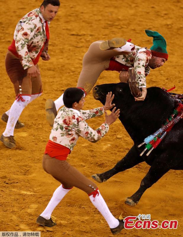Members of Monsaraz forcados group perform during a bullfight at Campo Pequeno bullring in Lisbon, Portugal June 21, 2018. (Photo/Agencies)