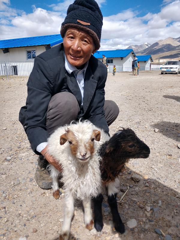 Villagers works at Caiqutang\'s breeding farm in Lhasa, Tibet autonomous region, June 24, 2018. (Photo/chinadaily.com.cn)